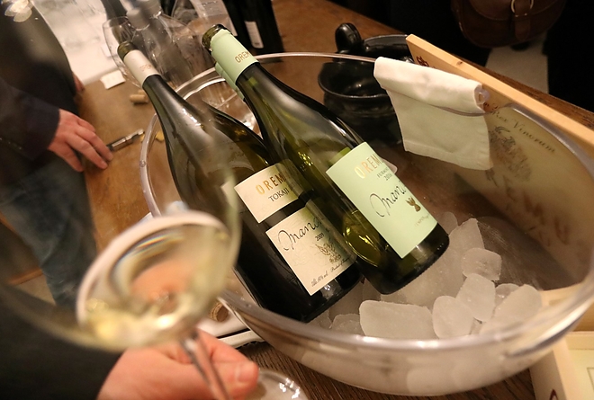 furmint_180209ml_46.jpg furmint_180209ml_46.jpg