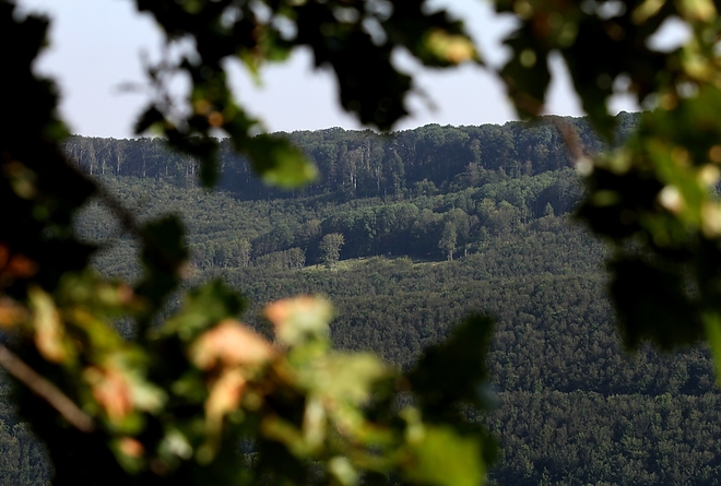 bukk_magos_ko_170811_ja_2.jpg