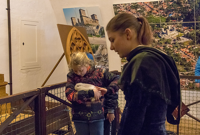 husvet_a_diosgyori_varban_20180401_bl_086_web.jpg