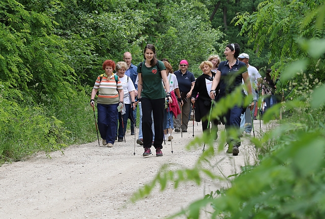 csanyik_volgyi_tanosveny_180522_ja_50.jpg csanyik_volgyi_tanosveny_180522_ja_50.jpg