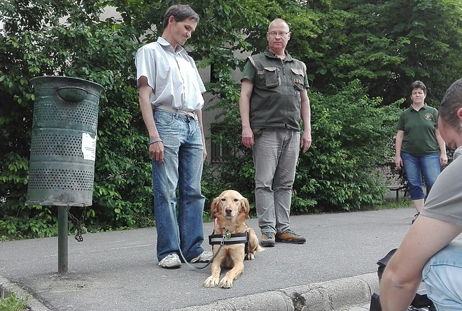 vakvezeto_kutya_2.jpg