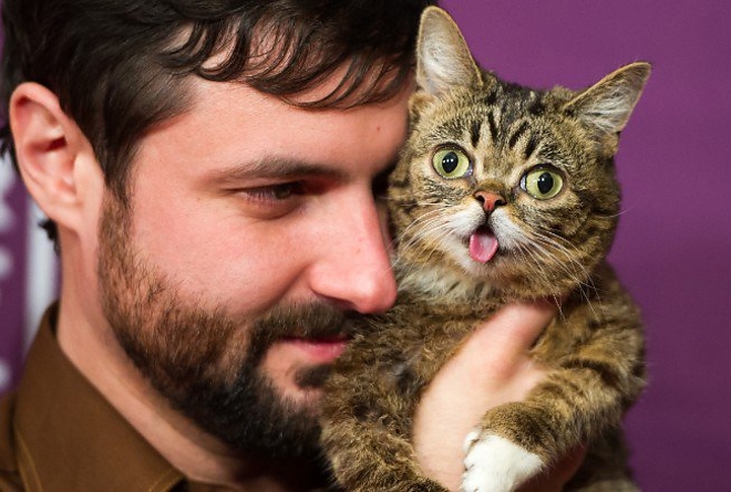 macska_lilbub.jpg