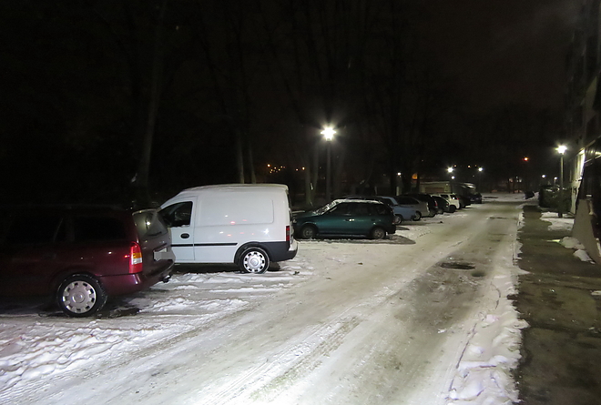 n4304082.jpg n4304082.jpg