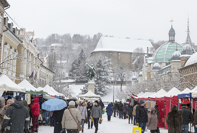 termeloi_nap_20190120_bl_012_web.jpg termeloi_nap_20190120_bl_012_web.jpg