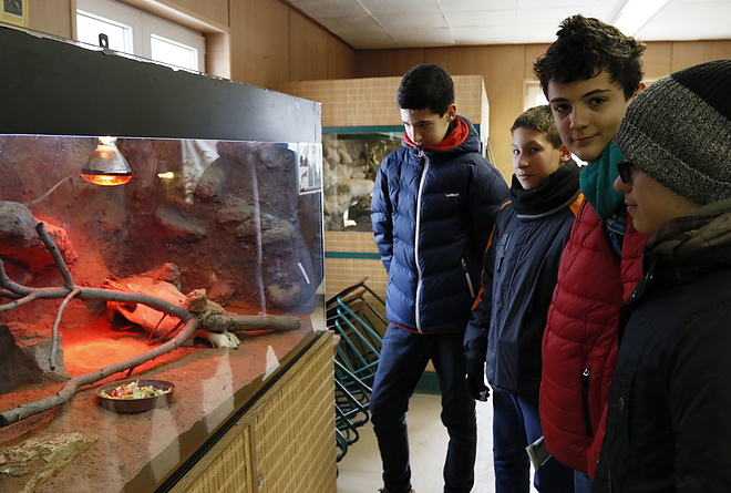 vadaspark_190122_vcs_01.jpg vadaspark_190122_vcs_01.jpg