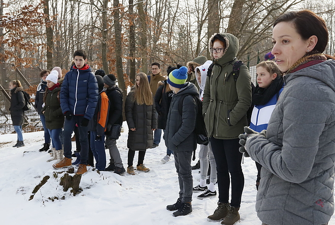 vadaspark_190122_vcs_04.jpg vadaspark_190122_vcs_04.jpg