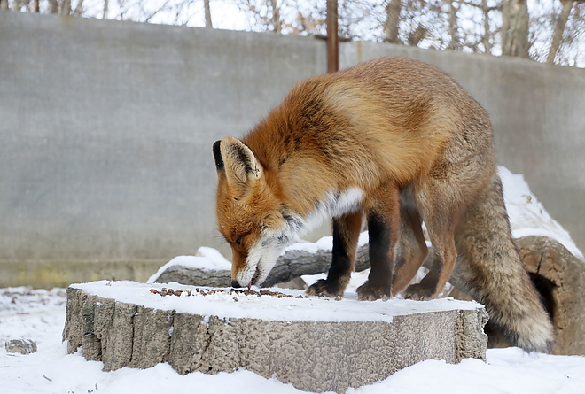 vadaspark_190122_vcs_13.jpg vadaspark_190122_vcs_13.jpg