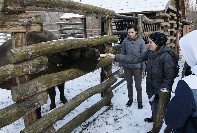 vadaspark_190122_vcs_16.jpg vadaspark_190122_vcs_16.jpg