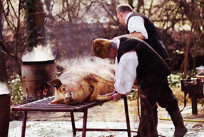 disznovagas_csapatepites03.jpg disznovagas_csapatepites03.jpg