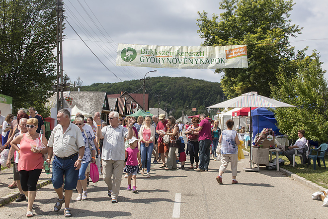 bukkszentkereszti_gyogynovenynapok_20170709_bl_024_web.jpg