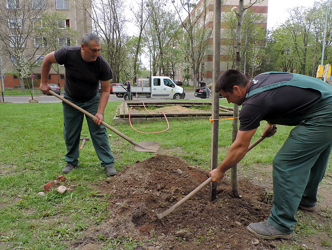faultetes_180417_vcs_16.jpg