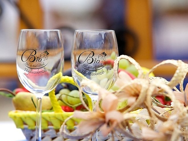 hajduszoboszlo_bor_feszt3.jpg