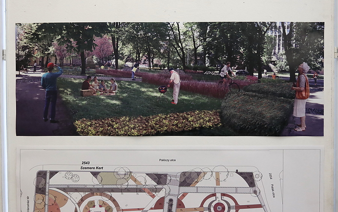 szemere_kert_20181002_vcs_06.jpg