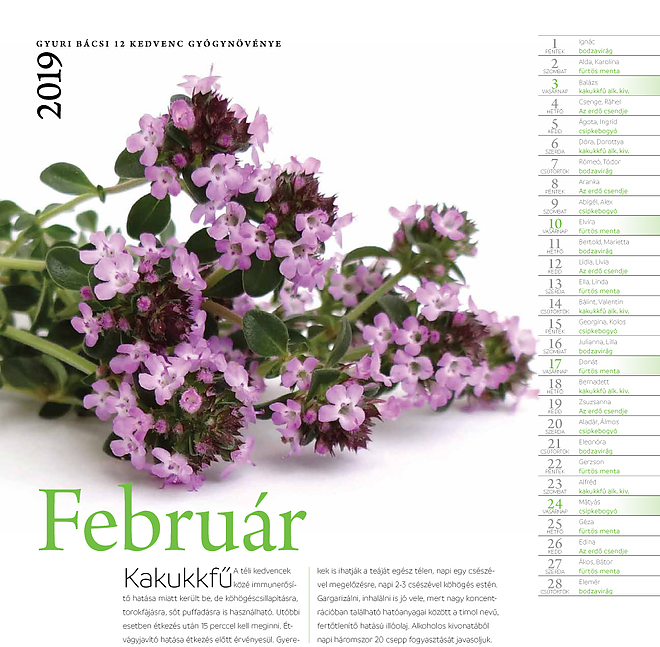 falinaptar2019.jpg falinaptar2019.jpg