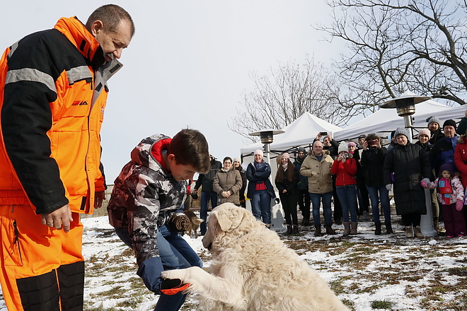 nyilt_nap_allatmenhely_190126_vcs_13.jpg nyilt_nap_allatmenhely_190126_vcs_13.jpg