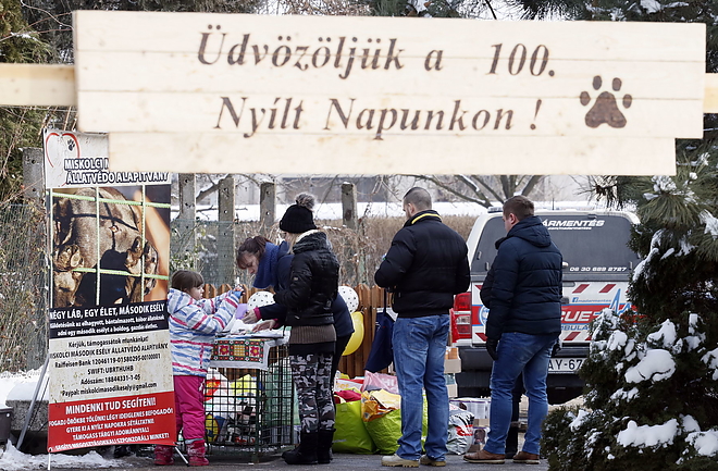 nyilt_nap_allatmenhely_190126_vcs_22.jpg nyilt_nap_allatmenhely_190126_vcs_22.jpg