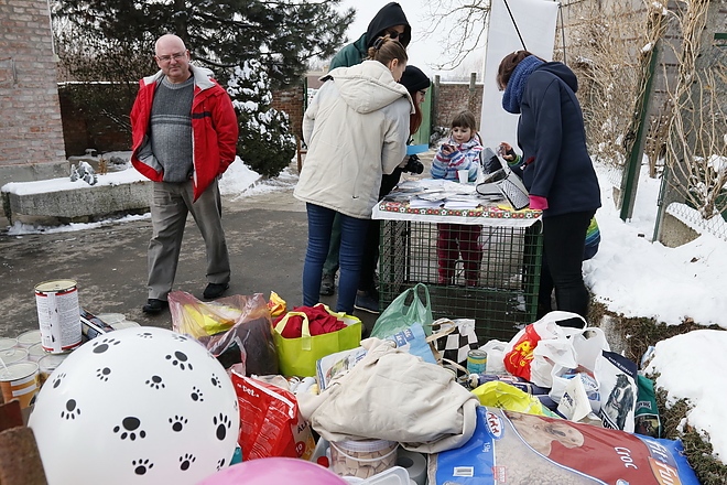 nyilt_nap_allatmenhely_190126_vcs_27.jpg nyilt_nap_allatmenhely_190126_vcs_27.jpg