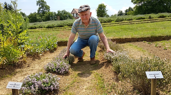 szabogyuribacsi_gyogynovenykertben_fuvesember.jpg szabogyuribacsi_gyogynovenykertben_fuvesember.jpg