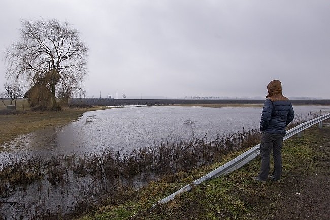 arvizjo.jpg arvizjo.jpg