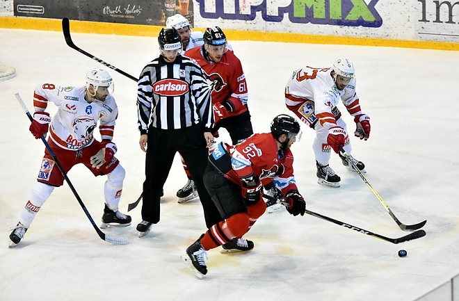 dvtk_jegesmedvek_banska_bystrica_190222.jpeg