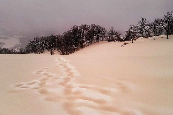 piros_ho.jpg piros_ho.jpg