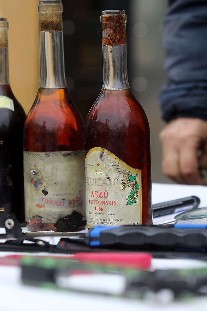 regisegvasar_190203_ja_14.jpg regisegvasar_190203_ja_14.jpg