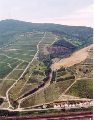 tokajhegyalja.jpg