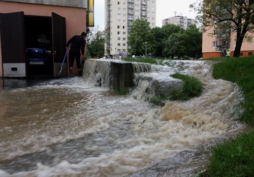arviz2010_majlath_06.jpg