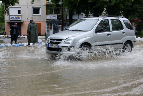 arviz2010_majlath_07.jpg