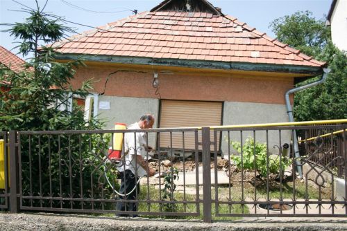 arvizfert.jpg