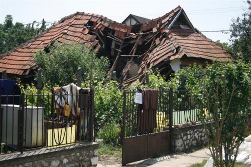 arvizs.jpg
