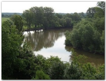 bodrog.jpg