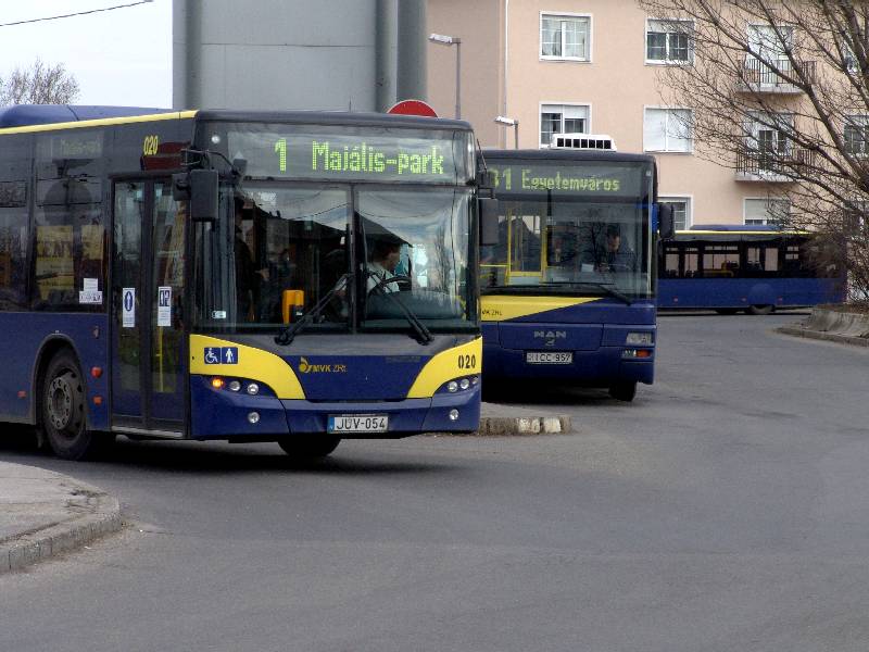 buszok.jpg