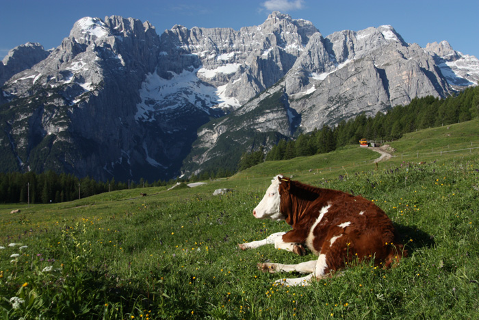 dolomit_futas_05.jpg