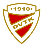 dvtk.jpg
