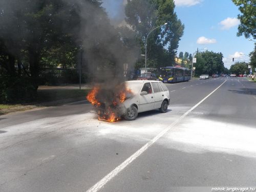 langol_auto.jpg