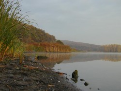 laskopatak.jpg