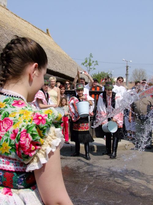 locsols2009.jpg