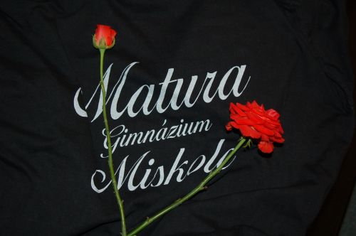 matura_temetes.jpg