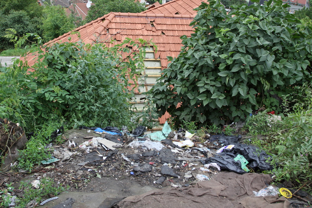 nagyavasgondok4.jpg