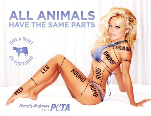 pamela_anderson_hentesaru.jpg