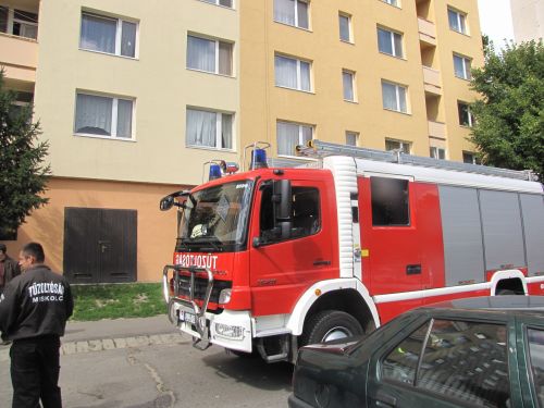paneltu2.jpg