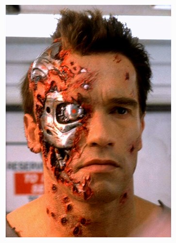 schwarzenegger.jpg