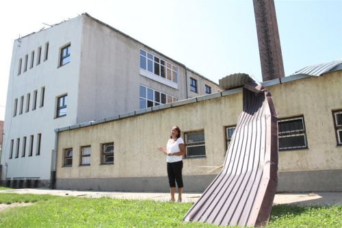 soltesz_gorogisk_teto01.jpg