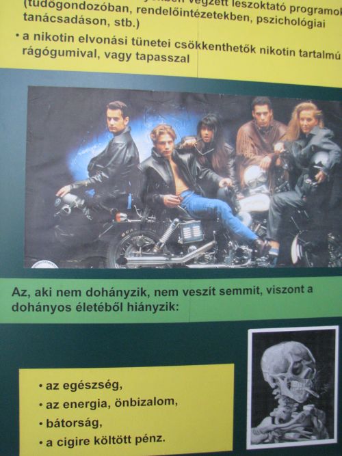 szenvedelykiallitas_03.jpg