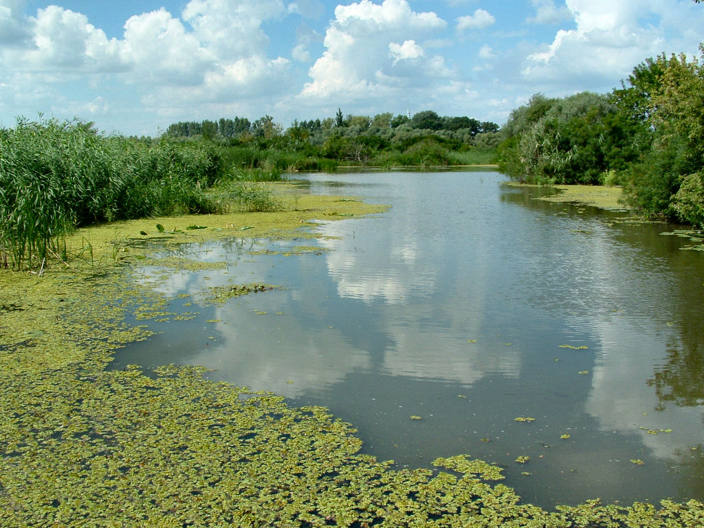 tisza_to11.jpg