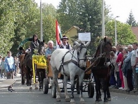 tokaj2_szuret.jpg