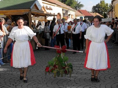 tokaj_szuret.jpg
