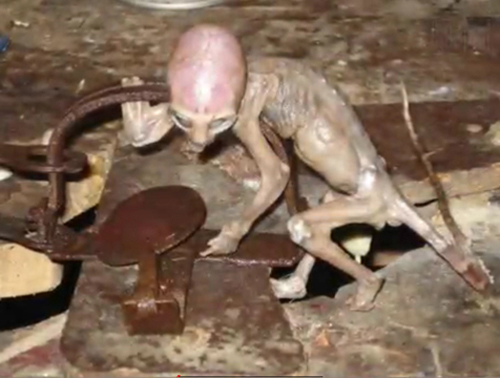 ufok2.jpg