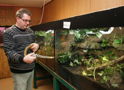 vadaspark_miskolc.jpg